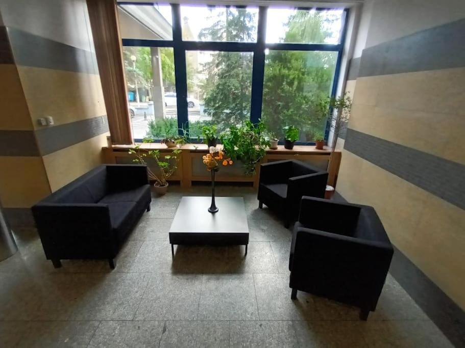 Fantastic Zg - S4 Pokoj 203 Зелёна-Гура Экстерьер фото